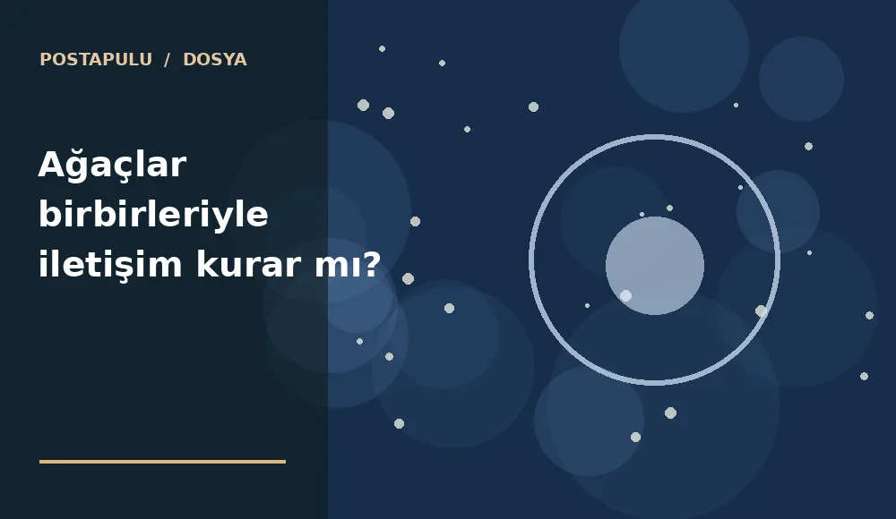 Ağaçlar birbirleriyle iletişim kurar mı?