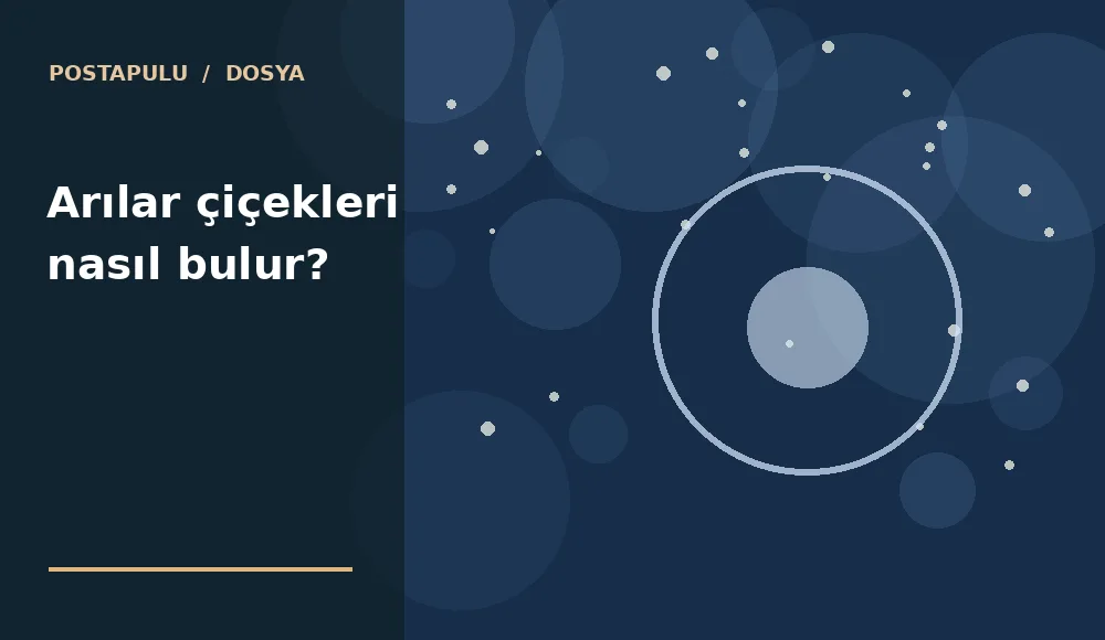 Arılar çiçekleri nasıl bulur?