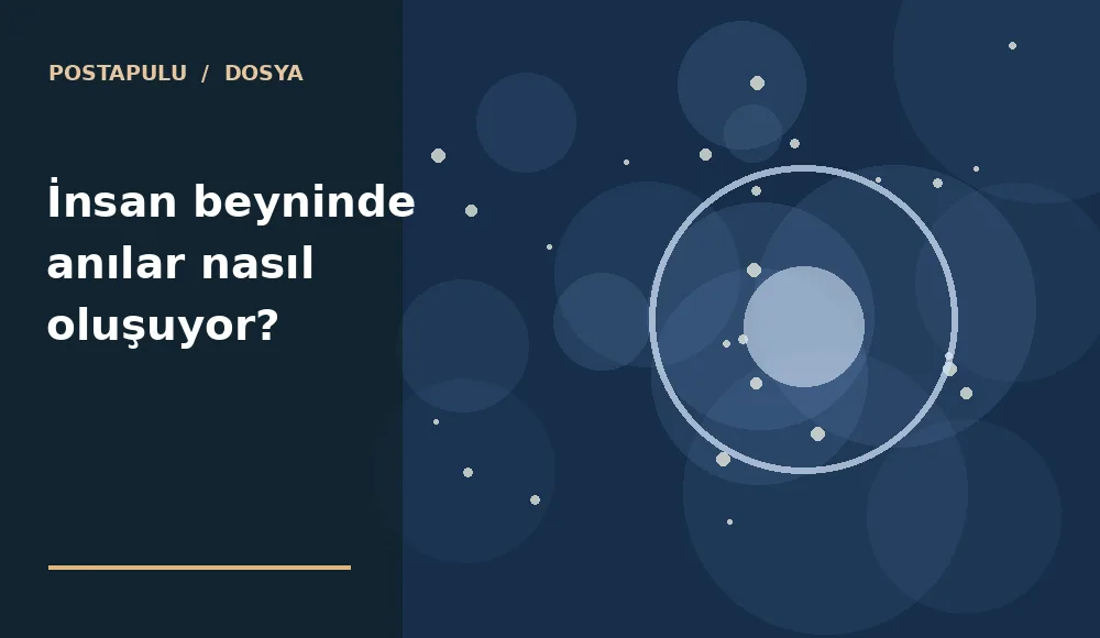 İnsan beyninde anılar nasıl oluşuyor?