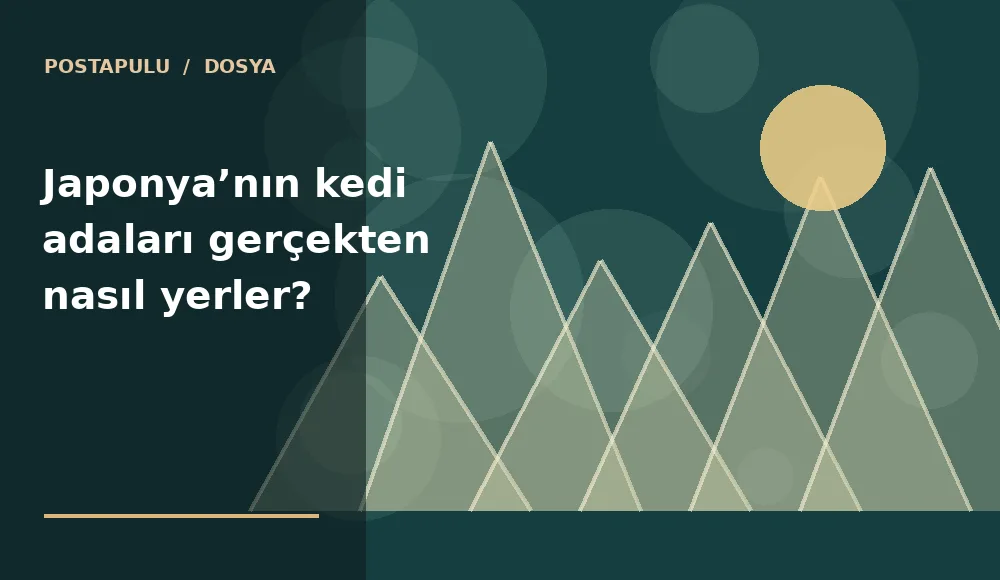 Japonya’nın kedi adaları gerçekten nasıl yerler?