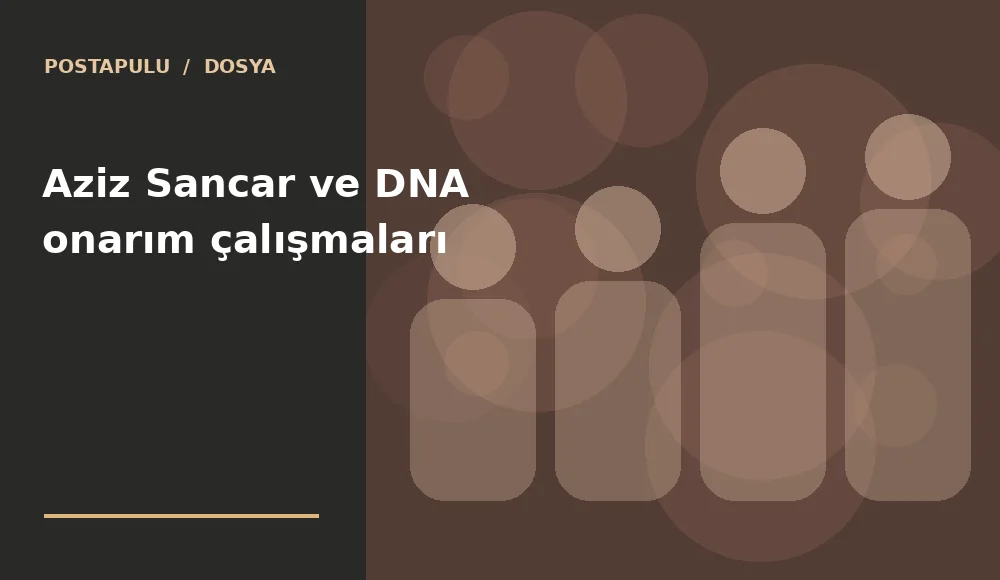 Aziz Sancar ve DNA onarım çalışmaları